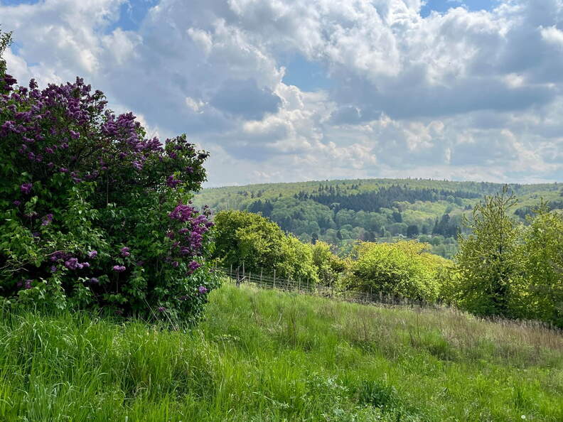 22-04-25 14-23-40 0643